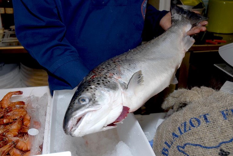 saumon d'écosse label rouge